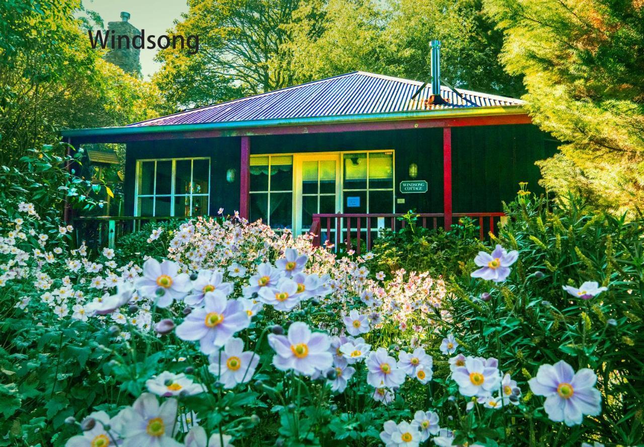 ماونت داندينونج Observatory Cottages المظهر الخارجي الصورة