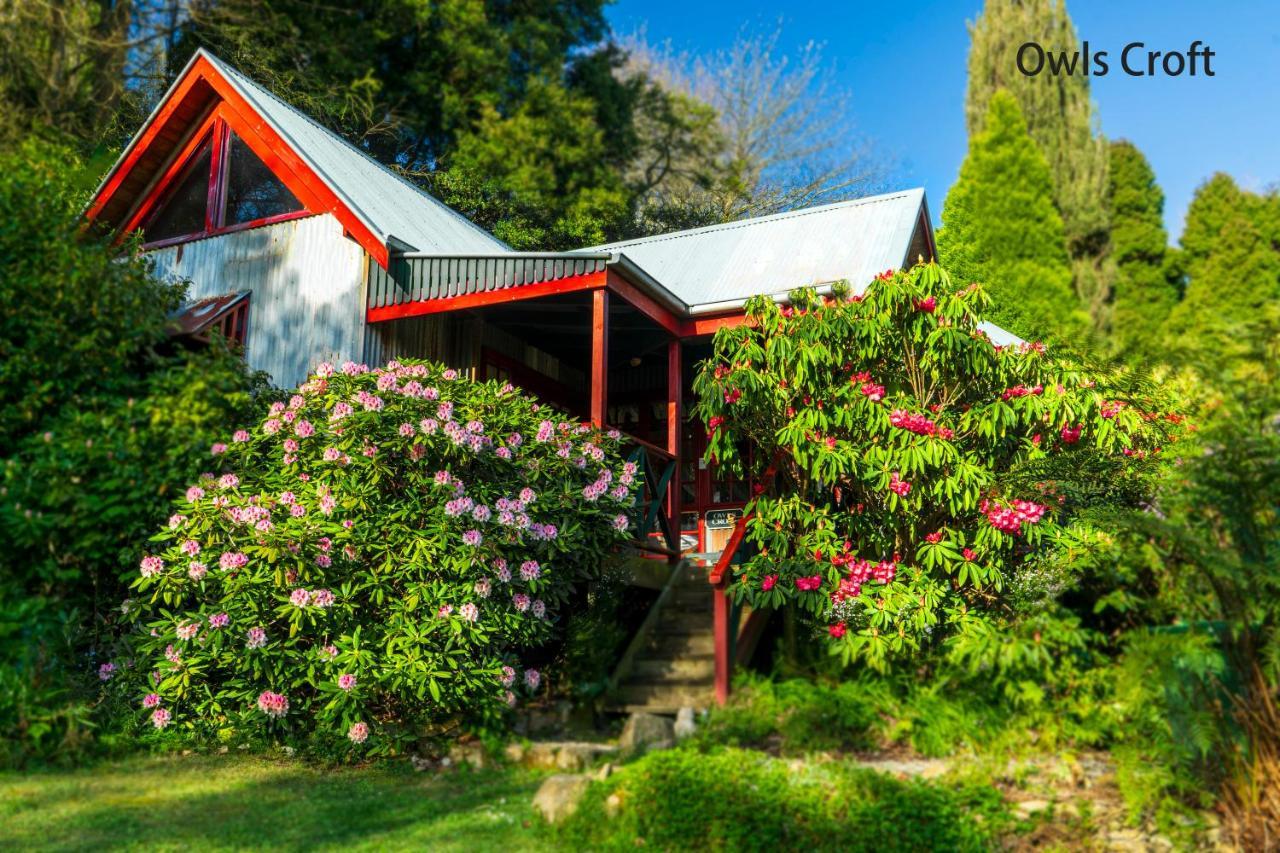 ماونت داندينونج Observatory Cottages المظهر الخارجي الصورة