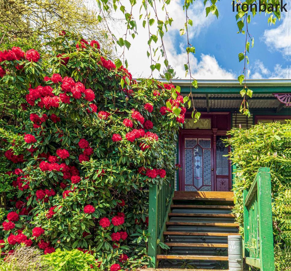 ماونت داندينونج Observatory Cottages المظهر الخارجي الصورة