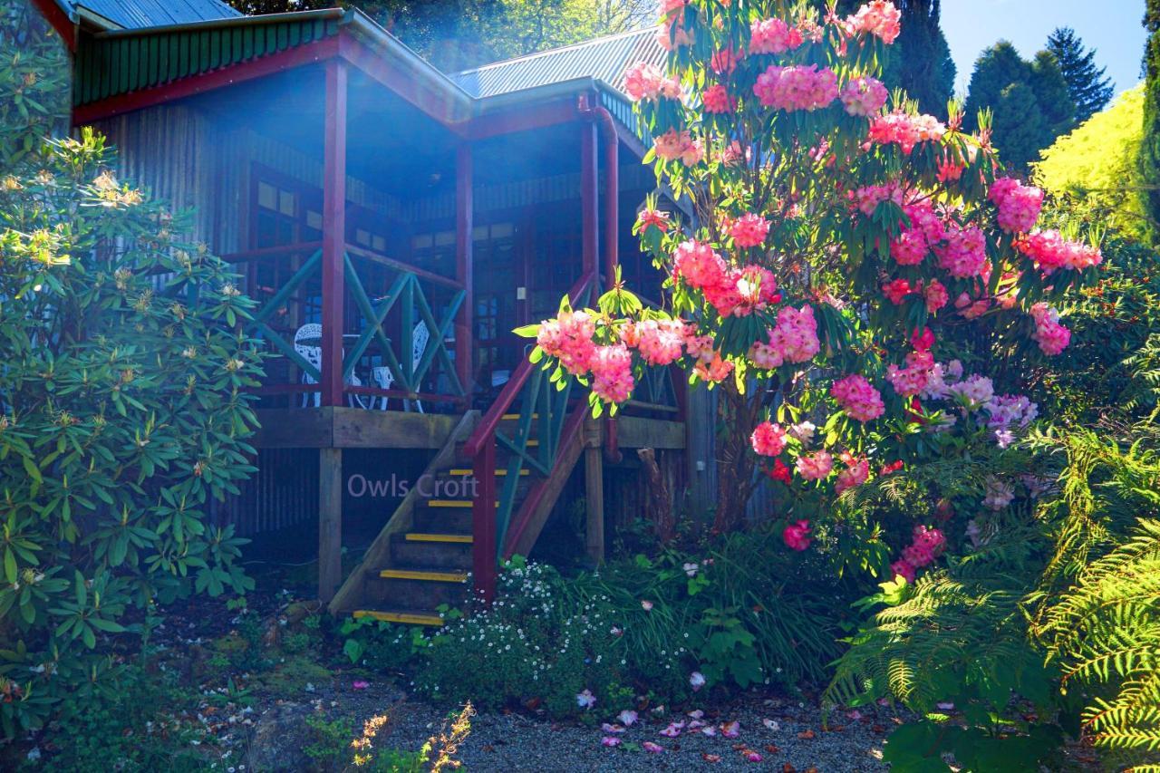 ماونت داندينونج Observatory Cottages المظهر الخارجي الصورة